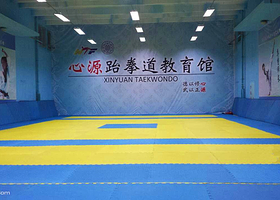 心源跆拳道教育馆