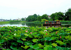 砖墙镇水乡慢城