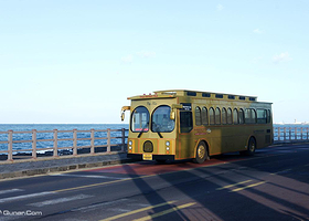 济州岛随上随下巴士