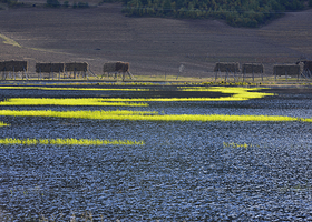 《梦幻香格里拉》演出