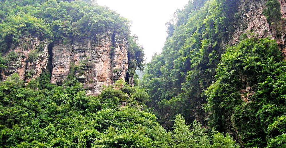 鼓城山·七里峡成人票