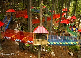 童子冲森林探险乐园