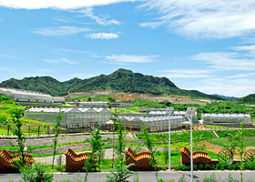 绿光鲜境-南方果园