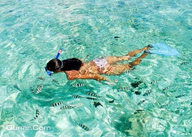 迪拜艾布姆潜水馆