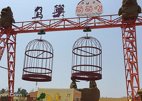 鸟巢萌萌哒乐园