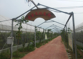 瑞生活农庄九百禾采摘园