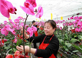 淮北洪庄生态园