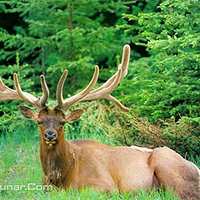 天鹿旅游生态园