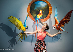 蒙城3d魔幻艺术展