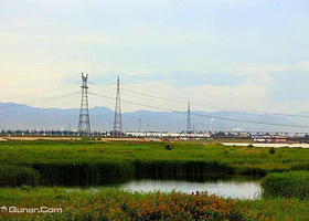 黄河国家湿地公园