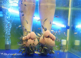 上海鱼之吻鱼疗馆