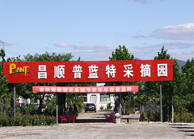 北京昌顺普蓝特采摘园