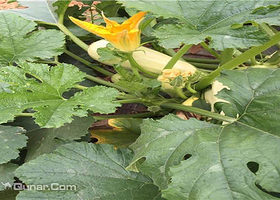 卧龙山庄农家乐