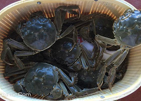 渤海湾七里海生态园