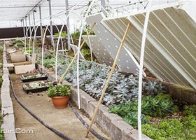 喜羊羊开心农庄