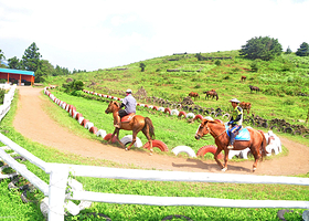 济州岛轭头骑马场