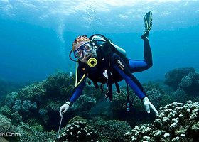 快乐珊瑚湾户外潜水俱乐部