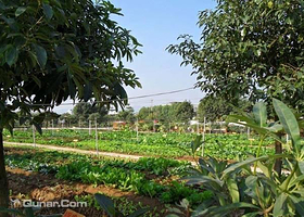 宝生园农业文化主题公园