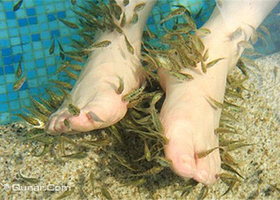 亲亲鱼疗馆（广州北站店）