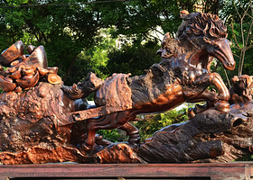 世界名木树雕博览园