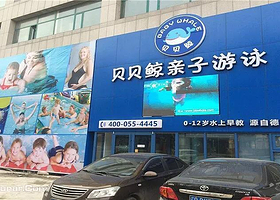 贝贝鲸亲子游泳