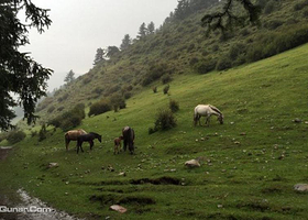 鹞子沟国家森林公园