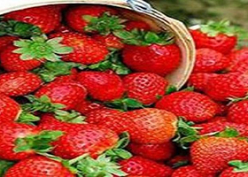 太原君瑞农业科技园