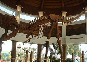 锦州国际会展中心侏罗纪恐龙园展