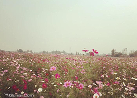 西蜀泉乡-九禾农庄