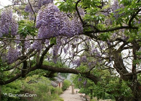 石佛山休闲观光景区