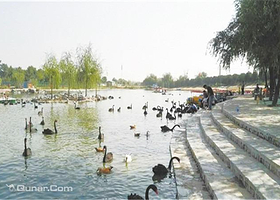 天鹅湖动物乐园