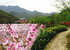 安吉江南桃花源