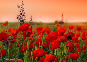 重庆七彩铜锣民俗艺术花都