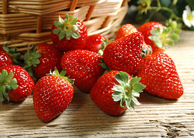 绿源生态采摘园