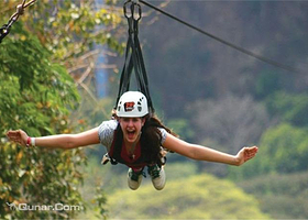 悉尼树顶公园探险