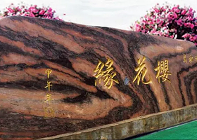 珠海海泉湾樱花缘