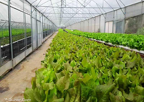 顺德鱼果生态园