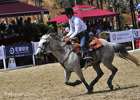凯洋国际马术俱乐部