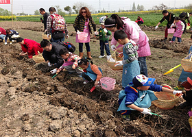 小海马奇奇王国儿童拓展体验基地