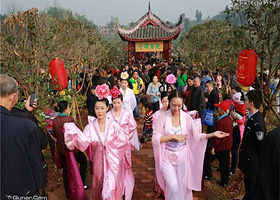 侣俸天香牡丹园