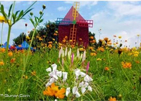 丽宫南山花世界