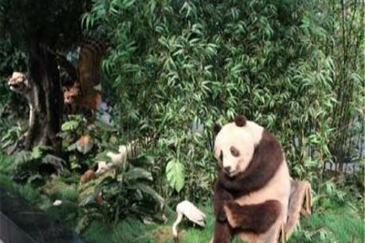 秦岭人与自然宣教中心旅游