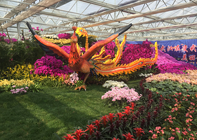 武汉农业嘉年华