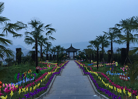 宜宾龙腾花舞风景区