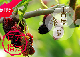 烟台千百度采摘园