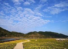 贺州黄姚仙女湖花海