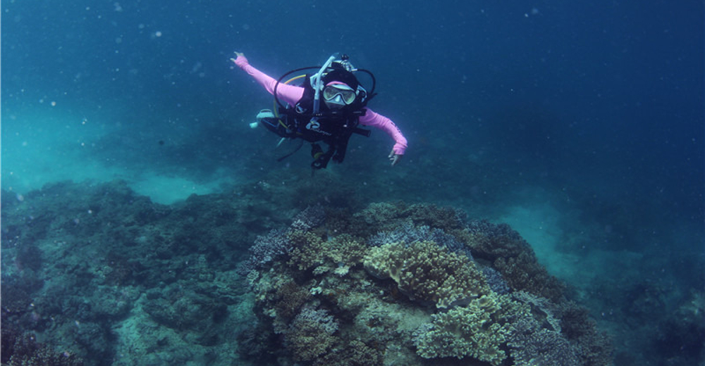 亚龙湾潜水 摩托艇 香蕉船 皮划艇 鳐鱼浮潜 篝火晚会狂欢