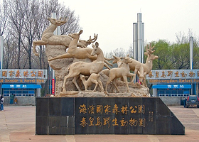 秦皇岛海滨国家森林公园