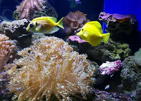 向日贝壳博物馆