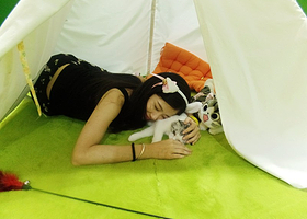 慢空间﹒萌猫展